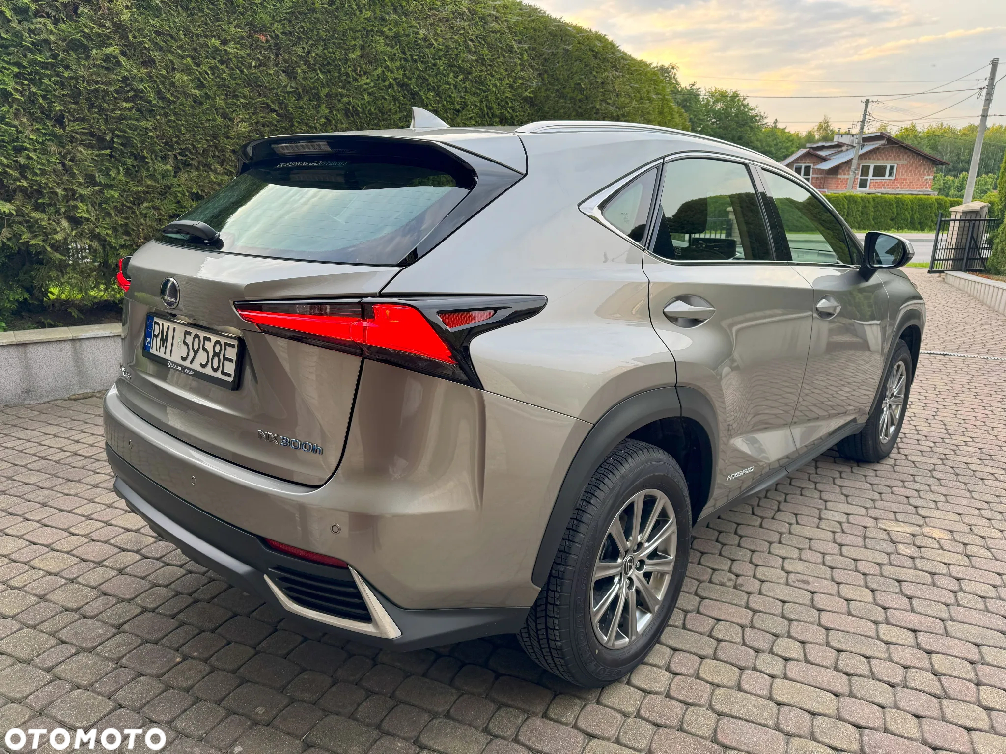 Lexus NX - 7