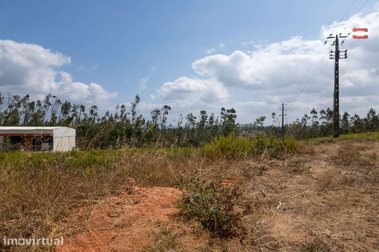 TERRENO COM 1670 m² E UMA ÁREA CONSTRUTIVEL DE 670 m² EM OURÉM - Grande imagem: 5/16