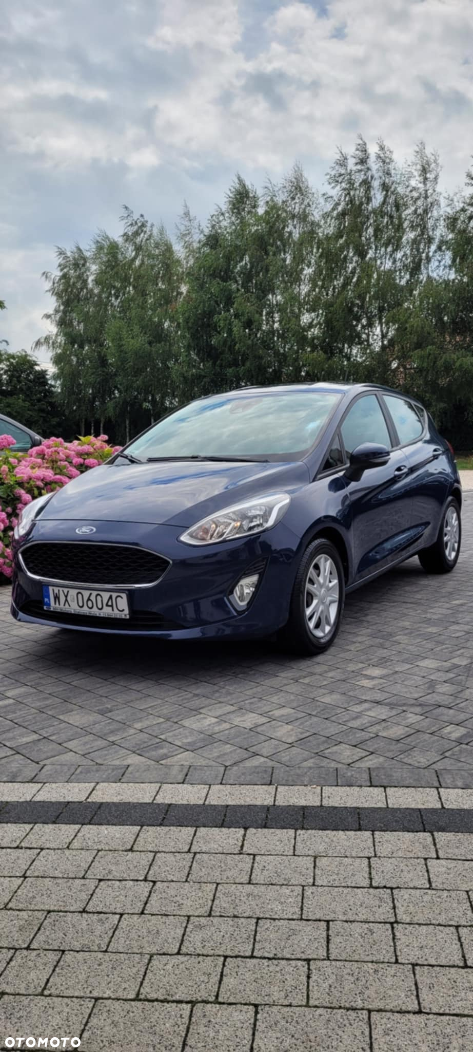 Ford Fiesta - 12