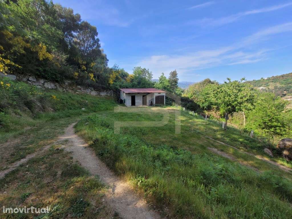 Quinta do Ribeiral - Grande imagem: 3/30