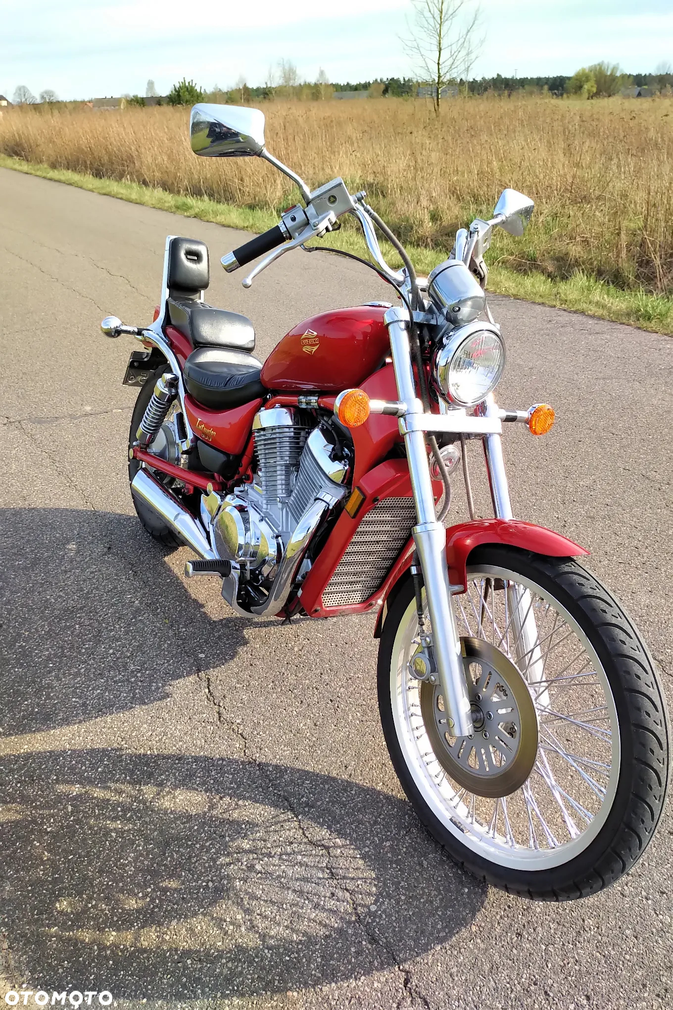 Suzuki VS - 6