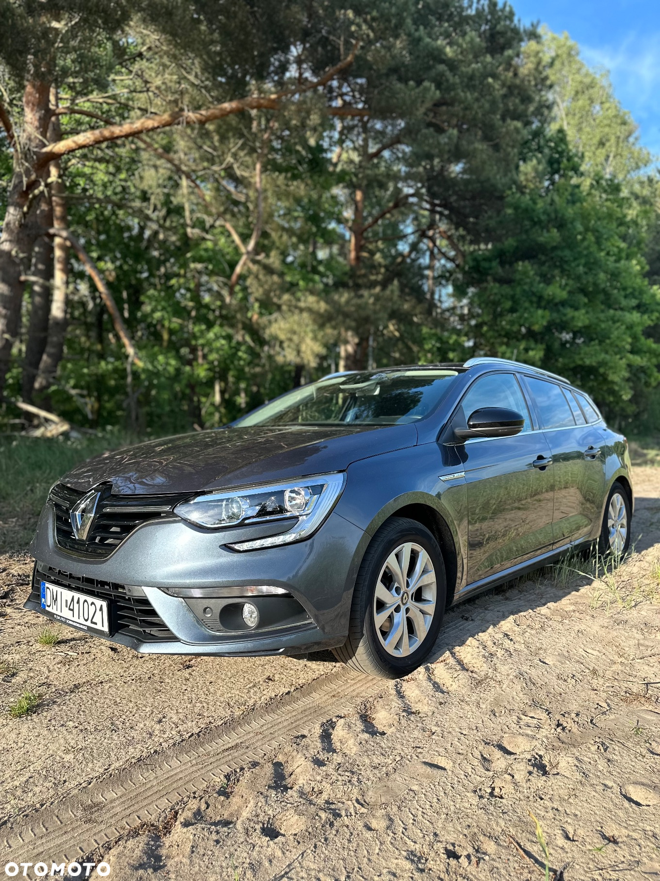 Renault Megane 1.3 TCe FAP Limited - 2