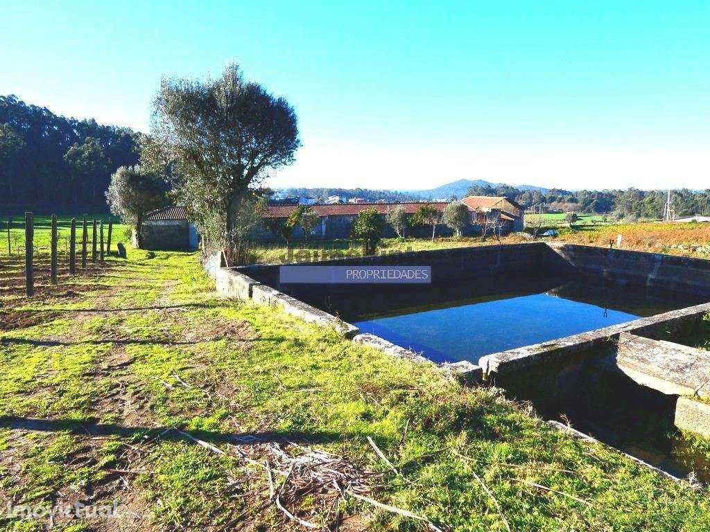 60.000m2 Terreno, Floresta, Casa, Capela, Edifícios, em Barcelos. P... - Grande imagem: 2/9