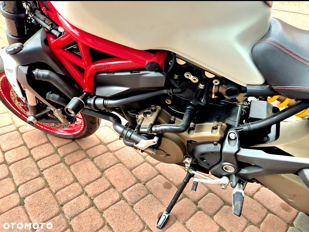 Ducati Monster - 14