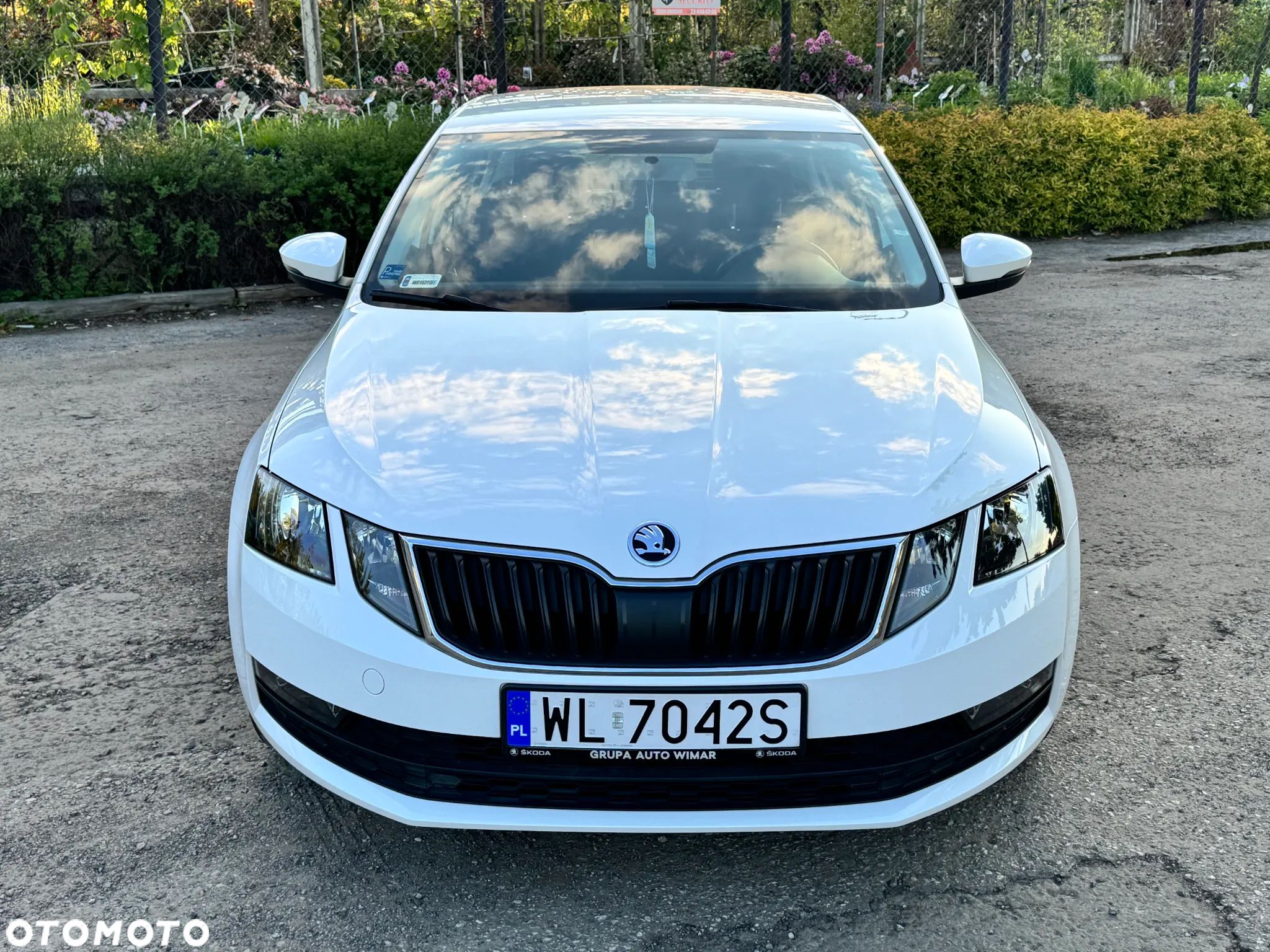Skoda Octavia 1.4 TSI Active - 1