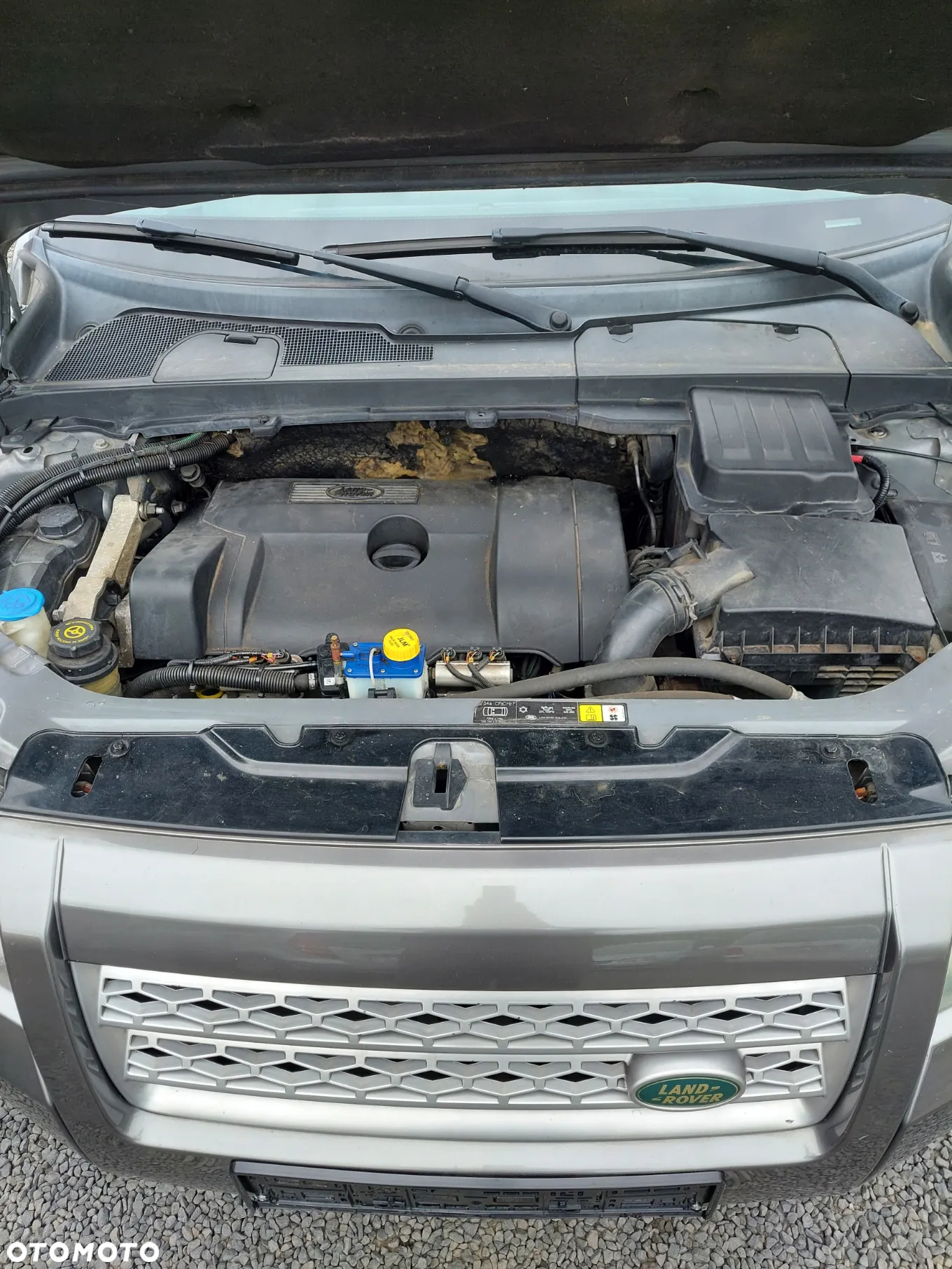 Land Rover Freelander - 8