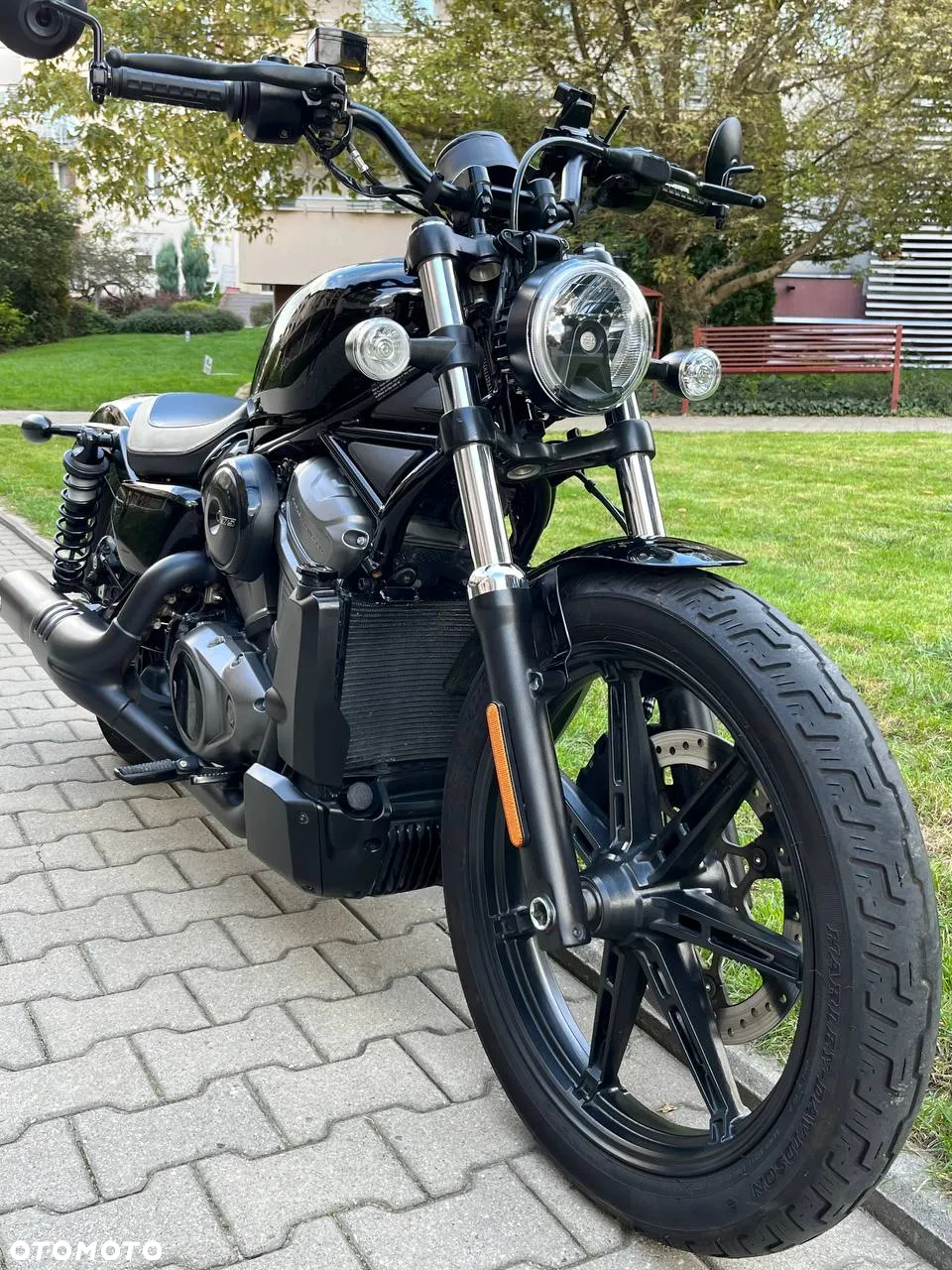 Harley-Davidson Sportster Nightster 975 - 19
