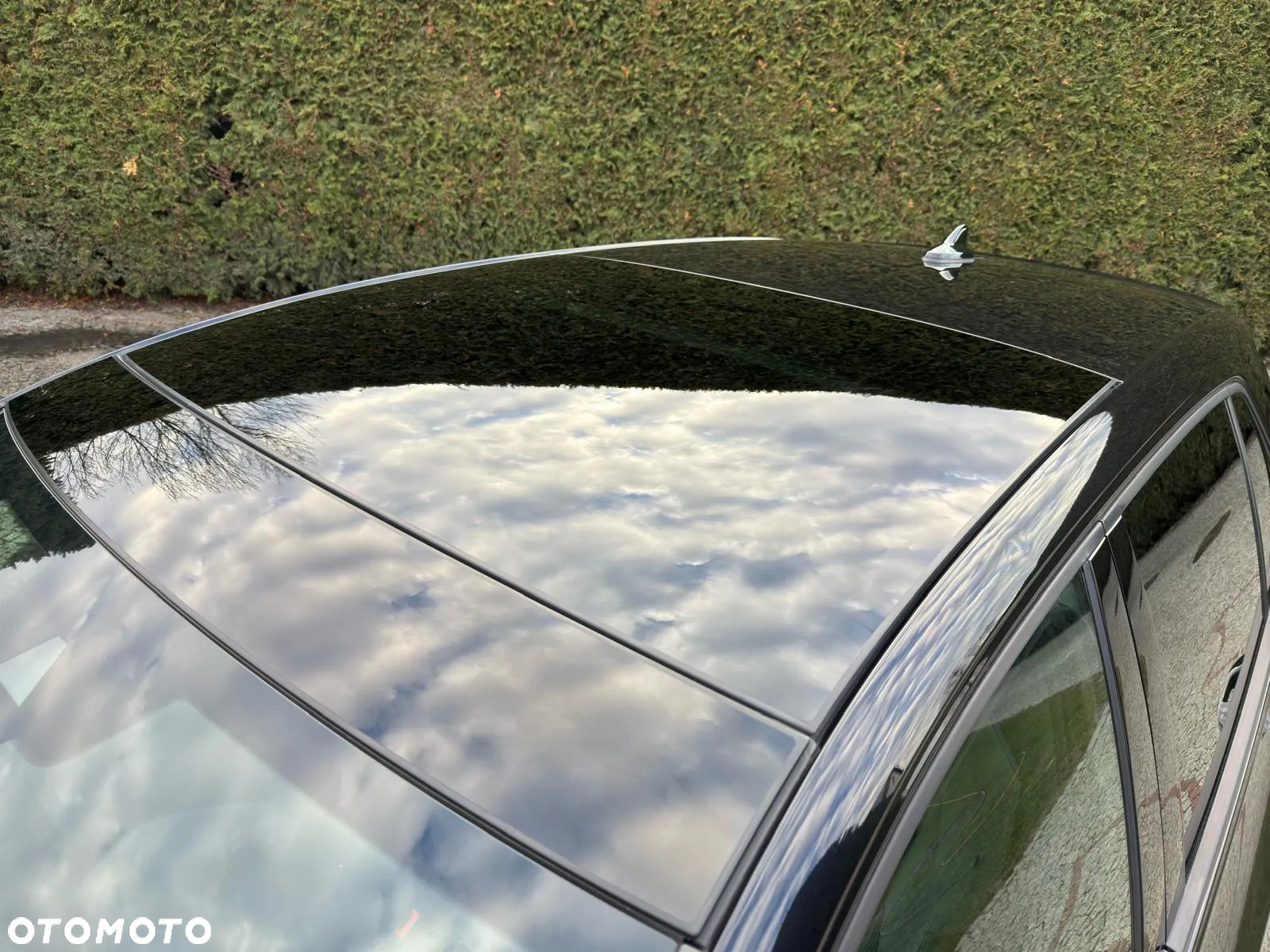 Volkswagen Golf VIII 2.0 TSI 4Motion R DSG - 14