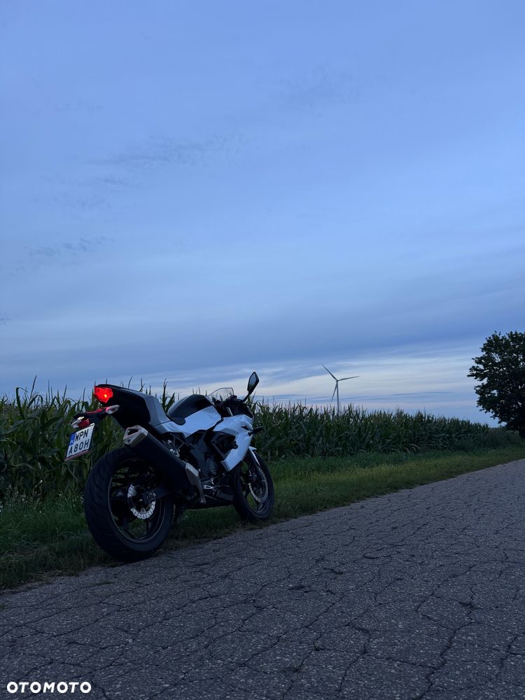 Kawasaki Ninja 250R - 6