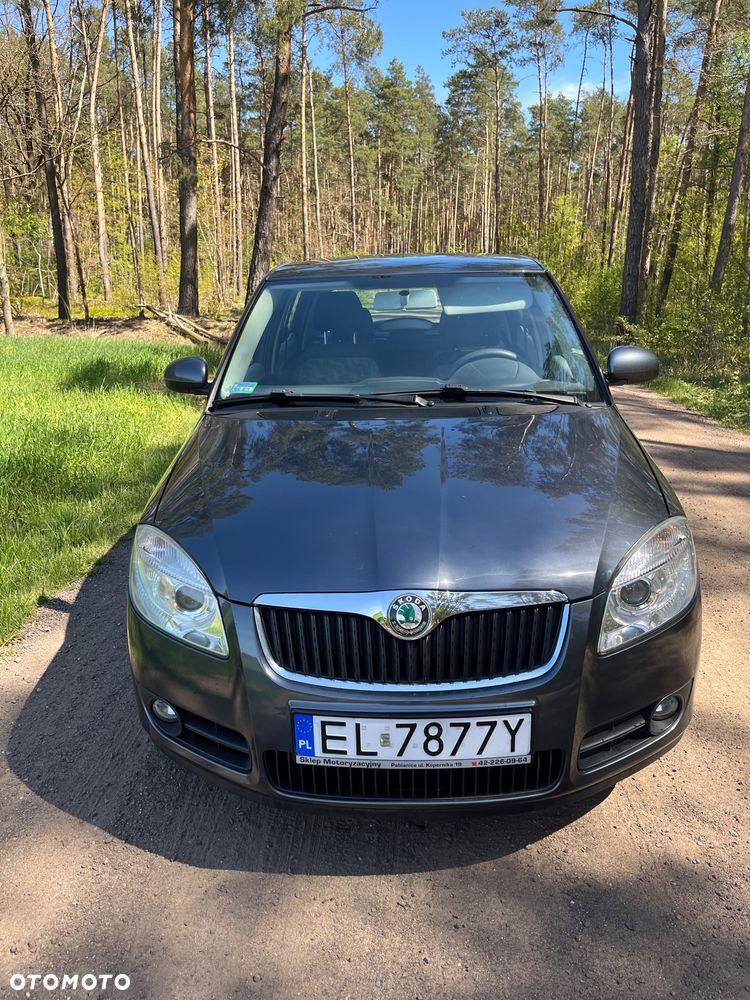 Skoda Fabia - 1