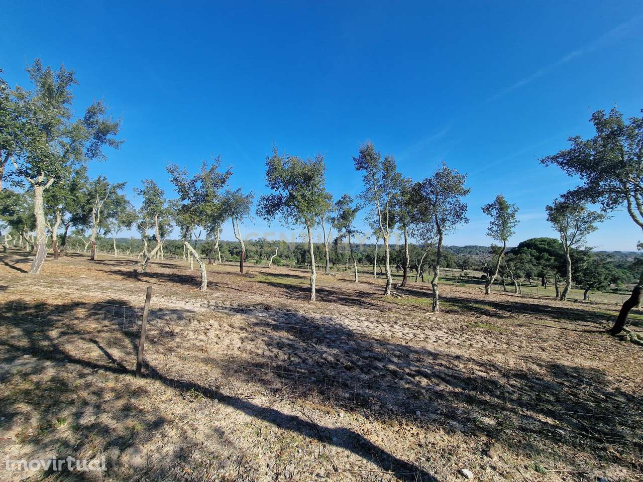 Monte c/cerca de 27h, em Abela, Santiago do Cacém - Grande imagem: 5/12