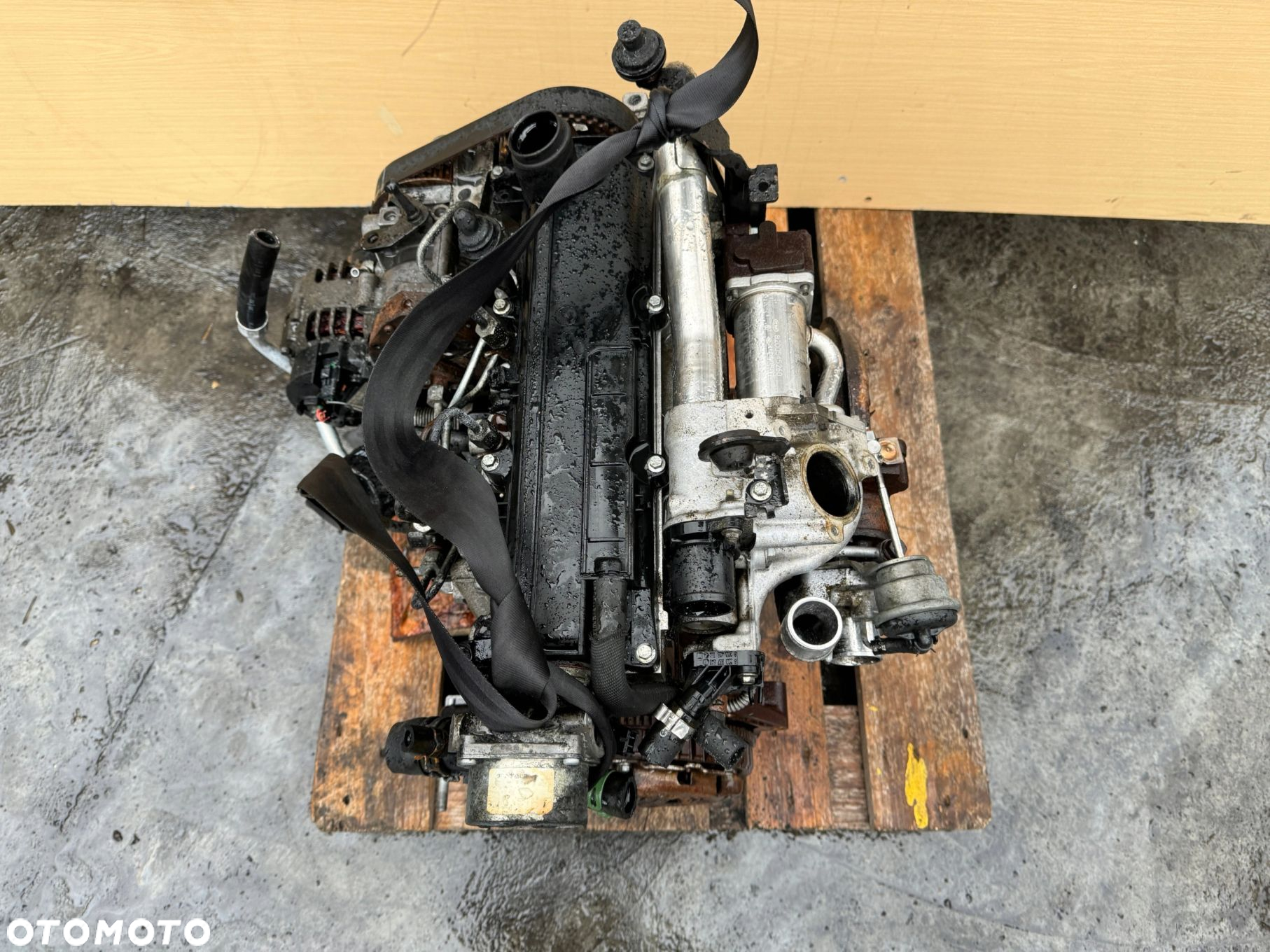 SILNIK KOMPLETNY RENAULT KANGOO CLIO NISSAN KUBISTAR 1.5 DCI K9K - 3