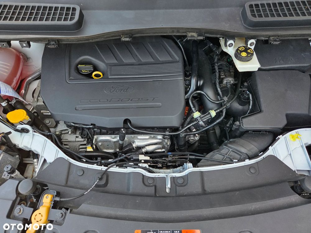 Ford Kuga 1.5 EcoBoost 2x4 Business Edition - 34