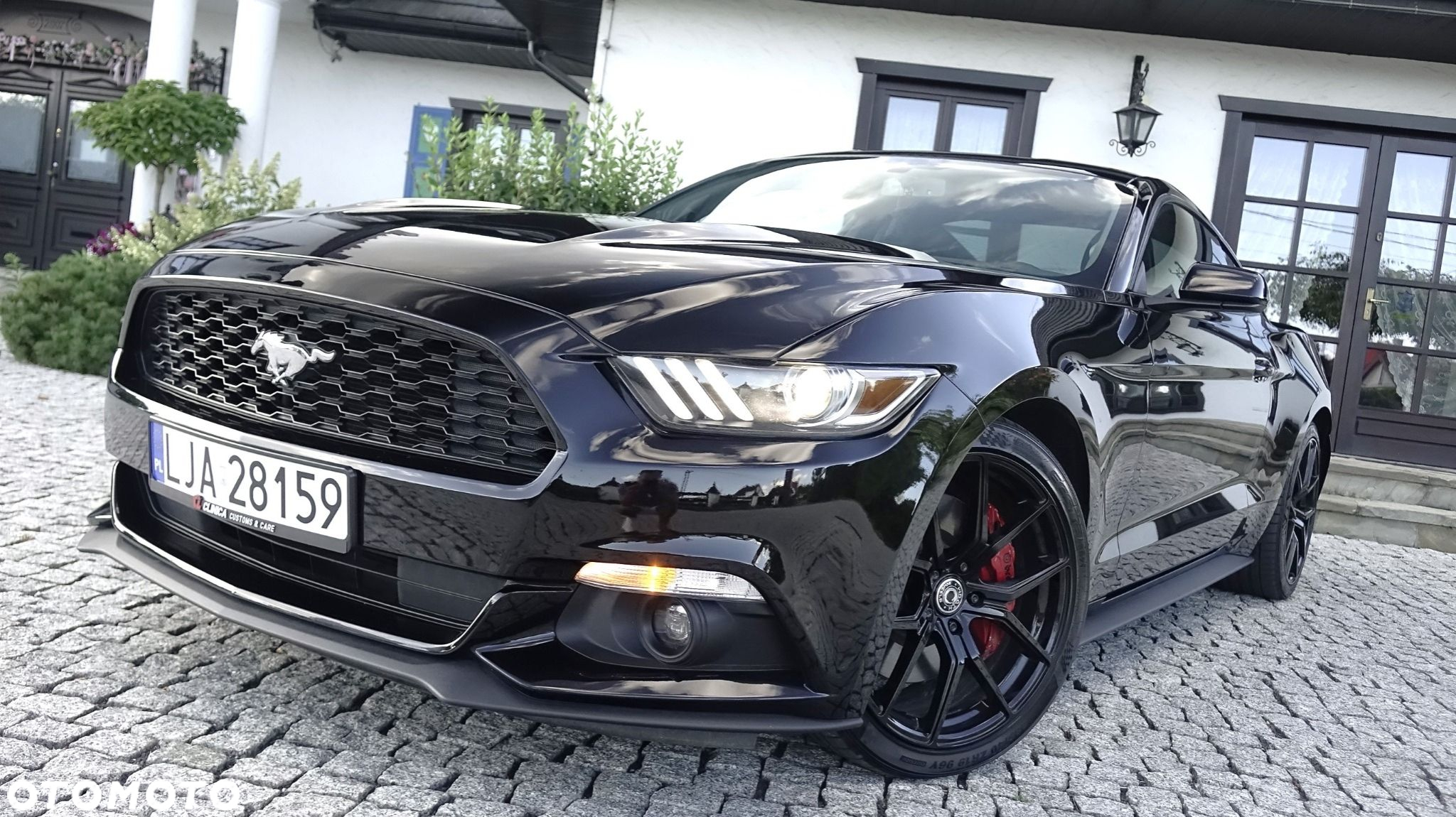 Ford Mustang - 22