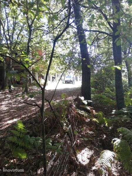 Imperdível: Terreno c/1,7ha contato com a natureza. ate final Agosto - Grande imagem: 3/11