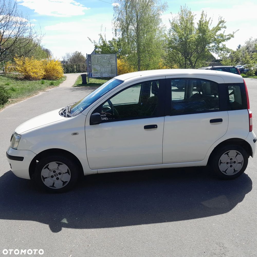 Fiat Panda 1.3 Multijet Dynamic - 13