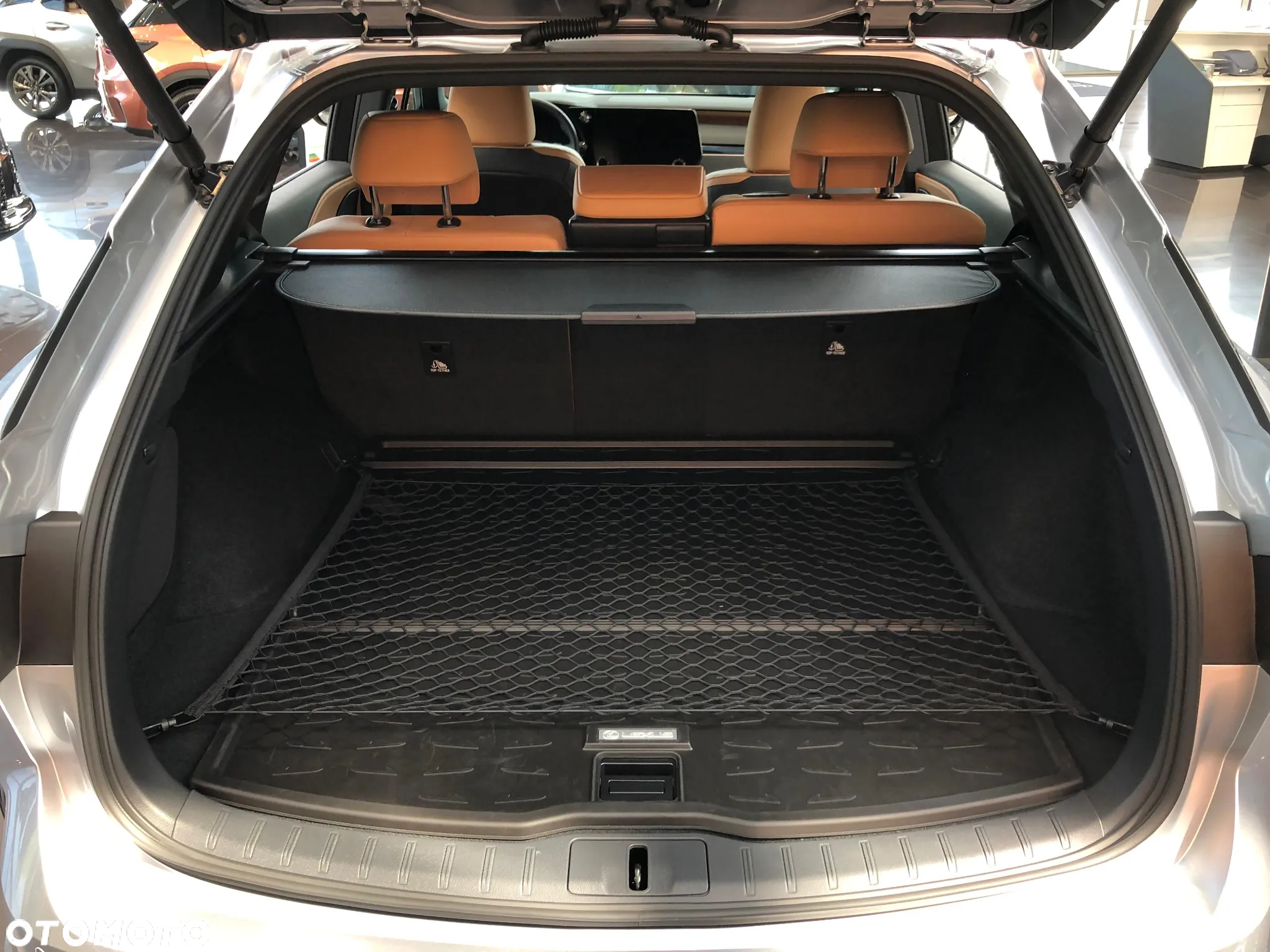 Lexus RX 350h F Sport Design - 10