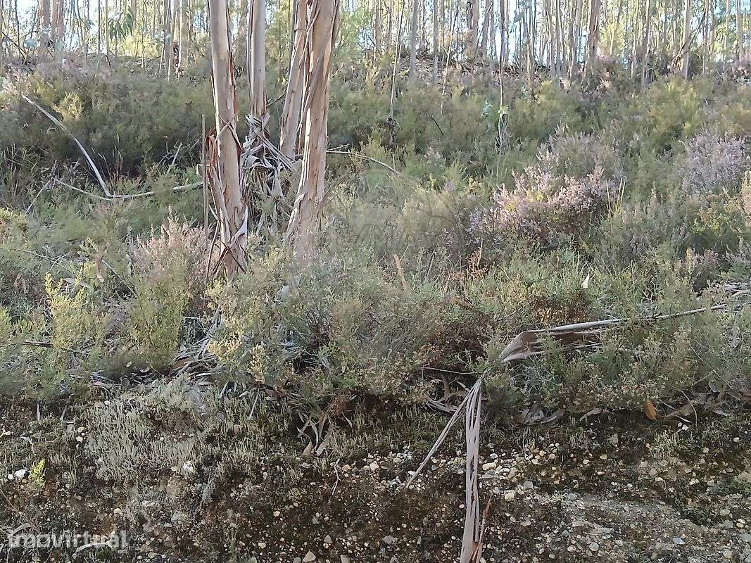 Terreno  para venda - Grande imagem: 2/3