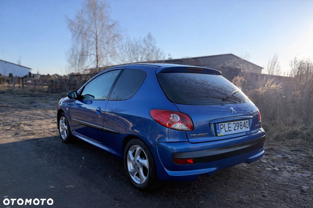 Peugeot 206 plus - 5