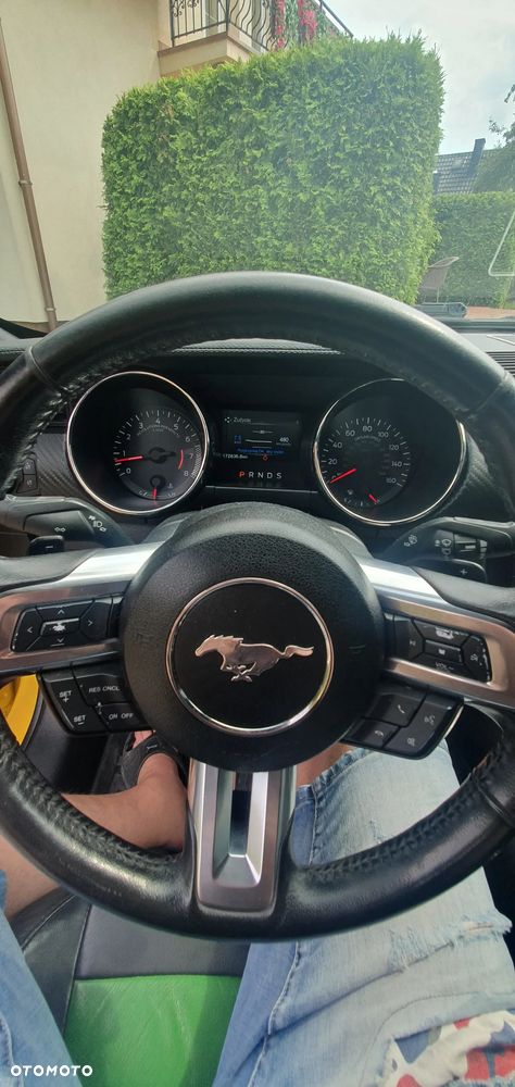 Ford Mustang - 16