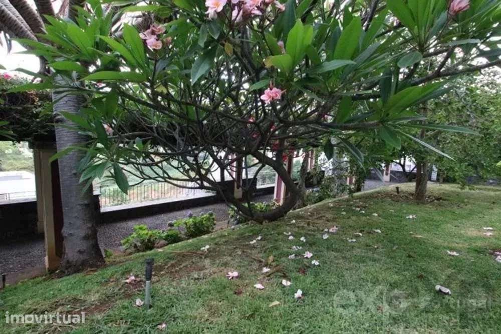 Viver com Elegância, Beleza Intemporal e Espaço Abundante: Uma Casa Se - Grande imagem: 4/38
