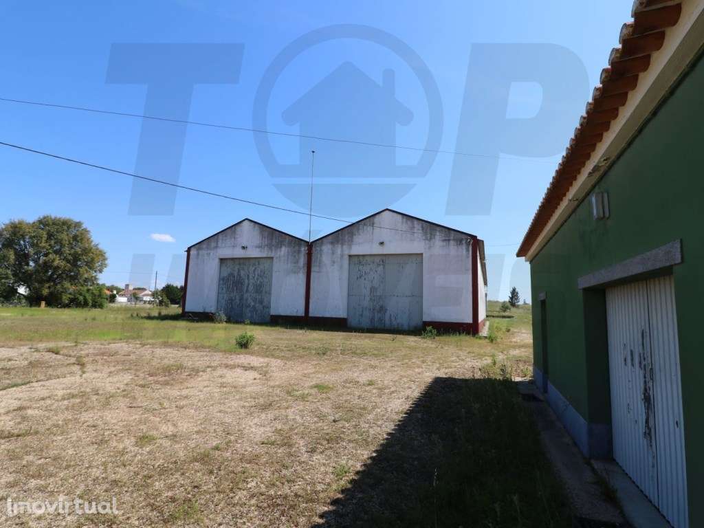 Terreno com equipamento agrícola - 34250m2 - 550.000€ - Grande imagem: 2/14