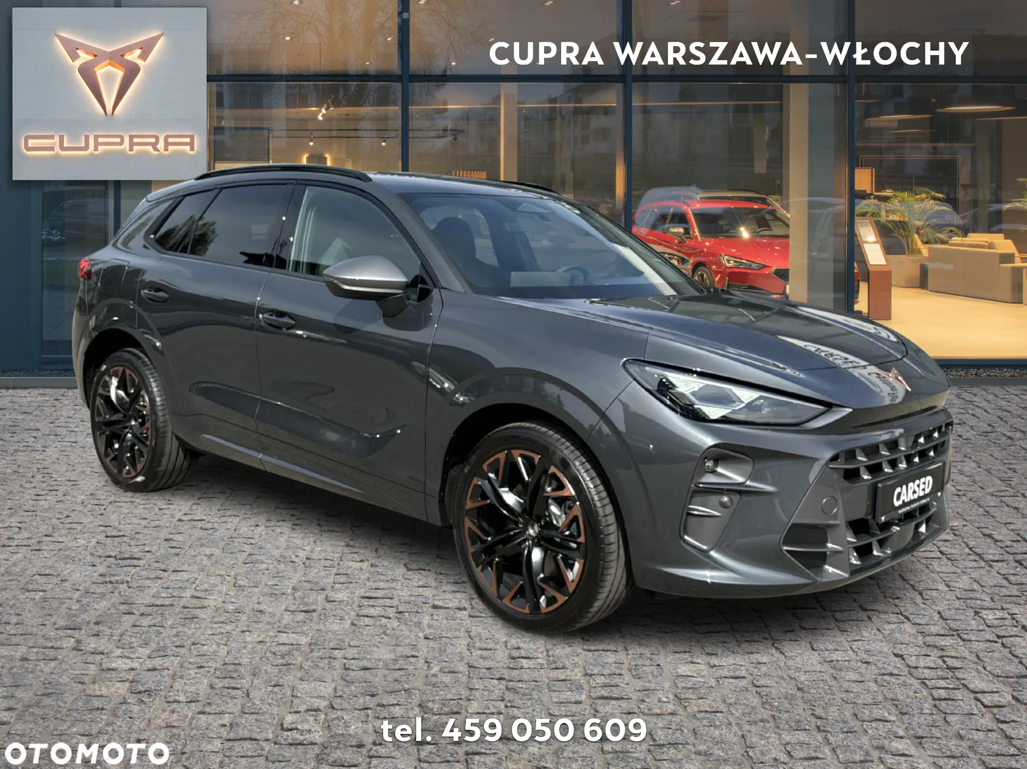 Cupra Terramar 2.0 TSI 4Drive DSG - 7