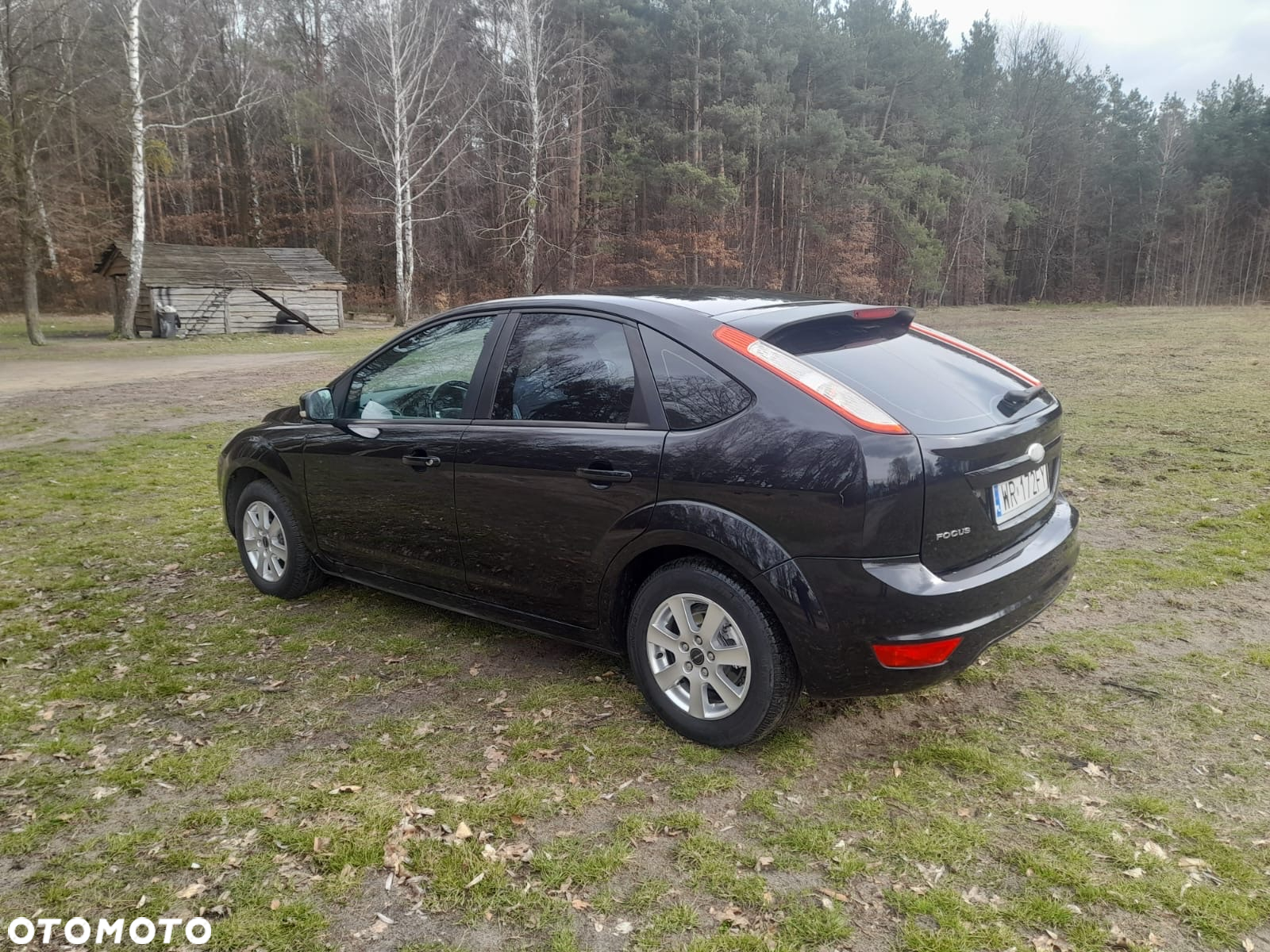 Ford Focus - 7