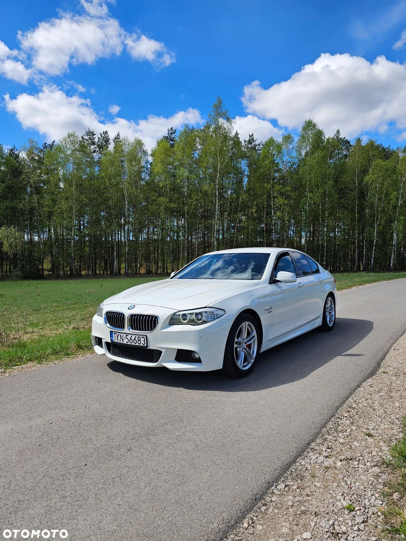 BMW Seria 5 530d xDrive - 1