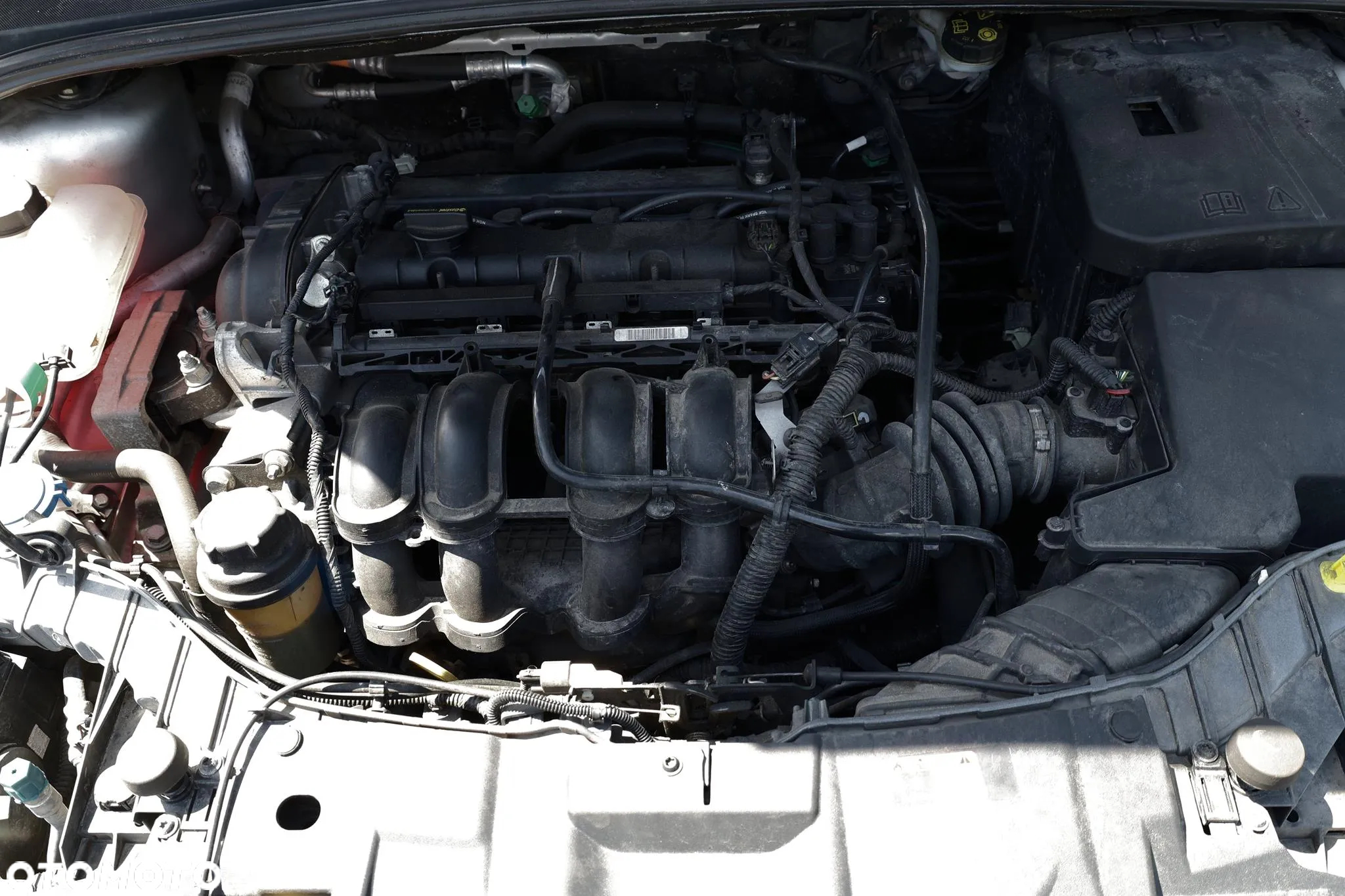 Ford Focus 1.6 Trend - 16