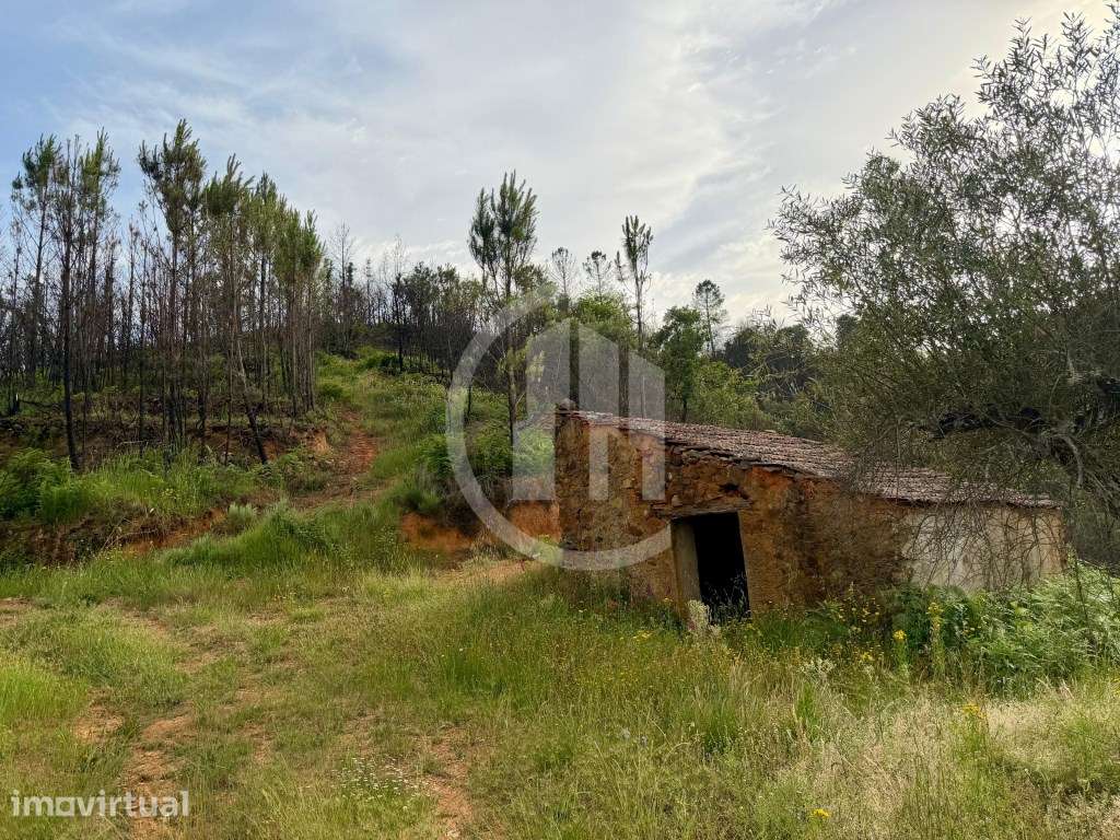 Terreno em Lavacolhos - Grande imagem: 2/14