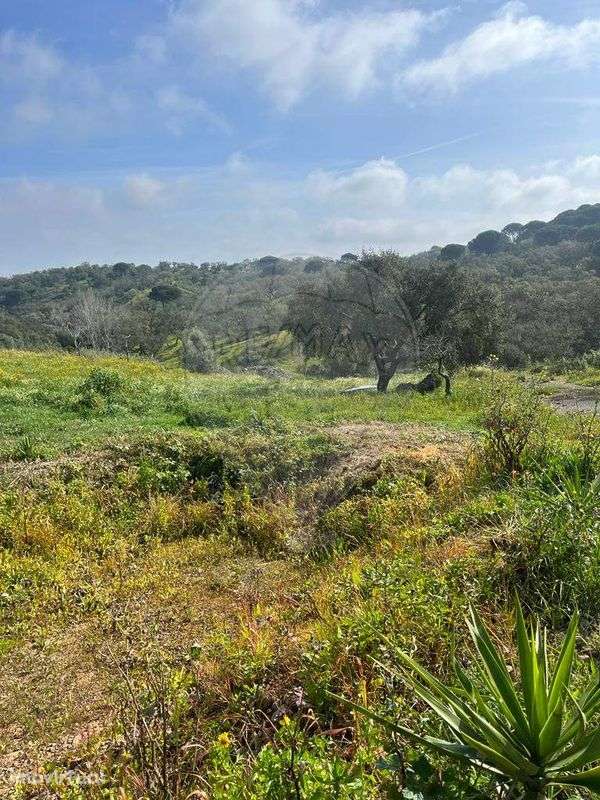 Terreno  para venda - Grande imagem: 5/24