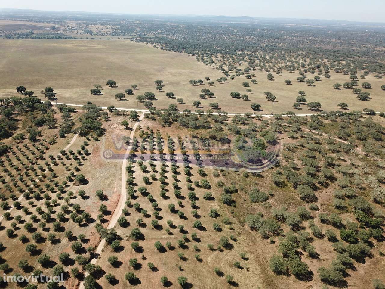 Terreno em Pavia, Mora (MOR058) - Grande imagem: 4/9