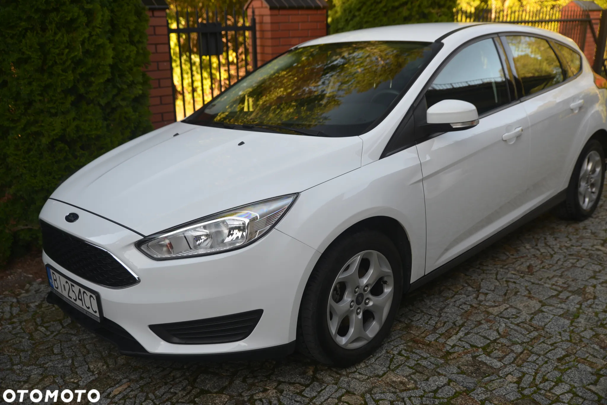 Ford Focus 1.6 Trend - 2