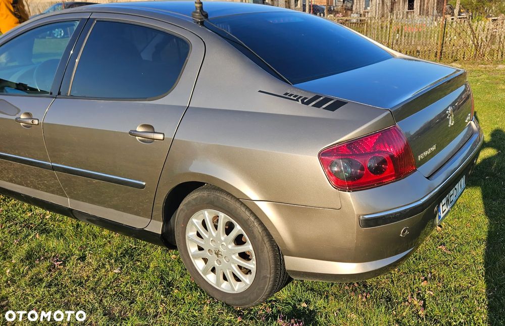 Peugeot 407 - 8