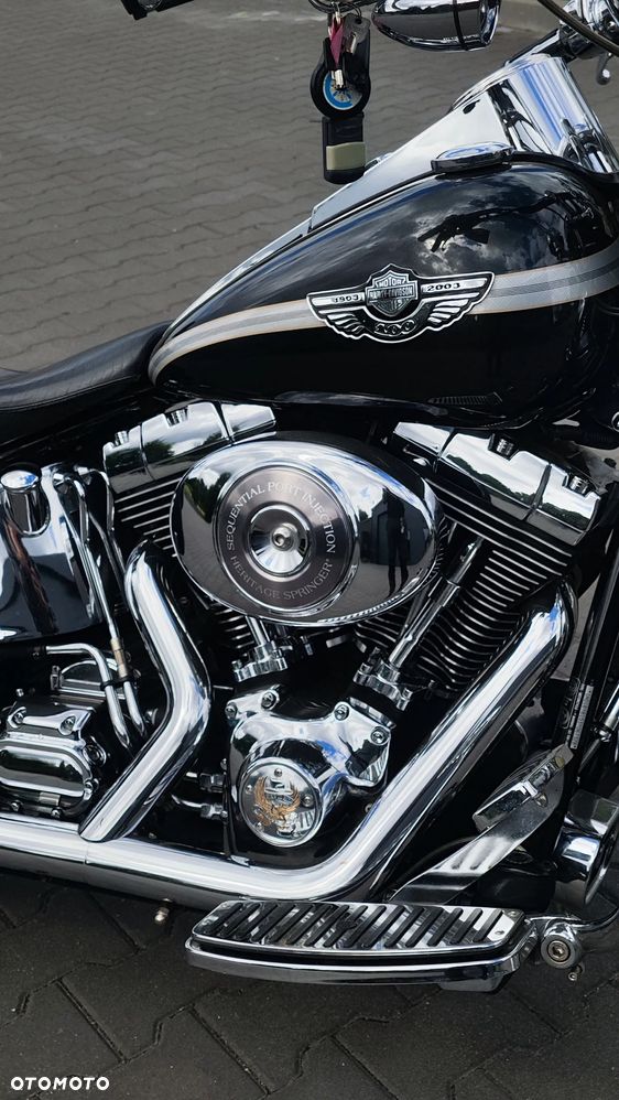 Harley-Davidson Softail Springer Classic - 29