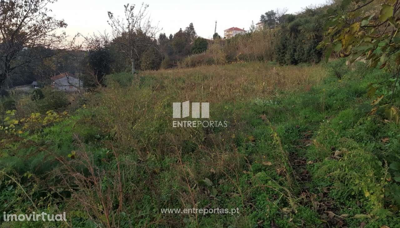 Venda de Terreno com área de 12740 m2, Souselo, Cinfães - Grande imagem: 3/23