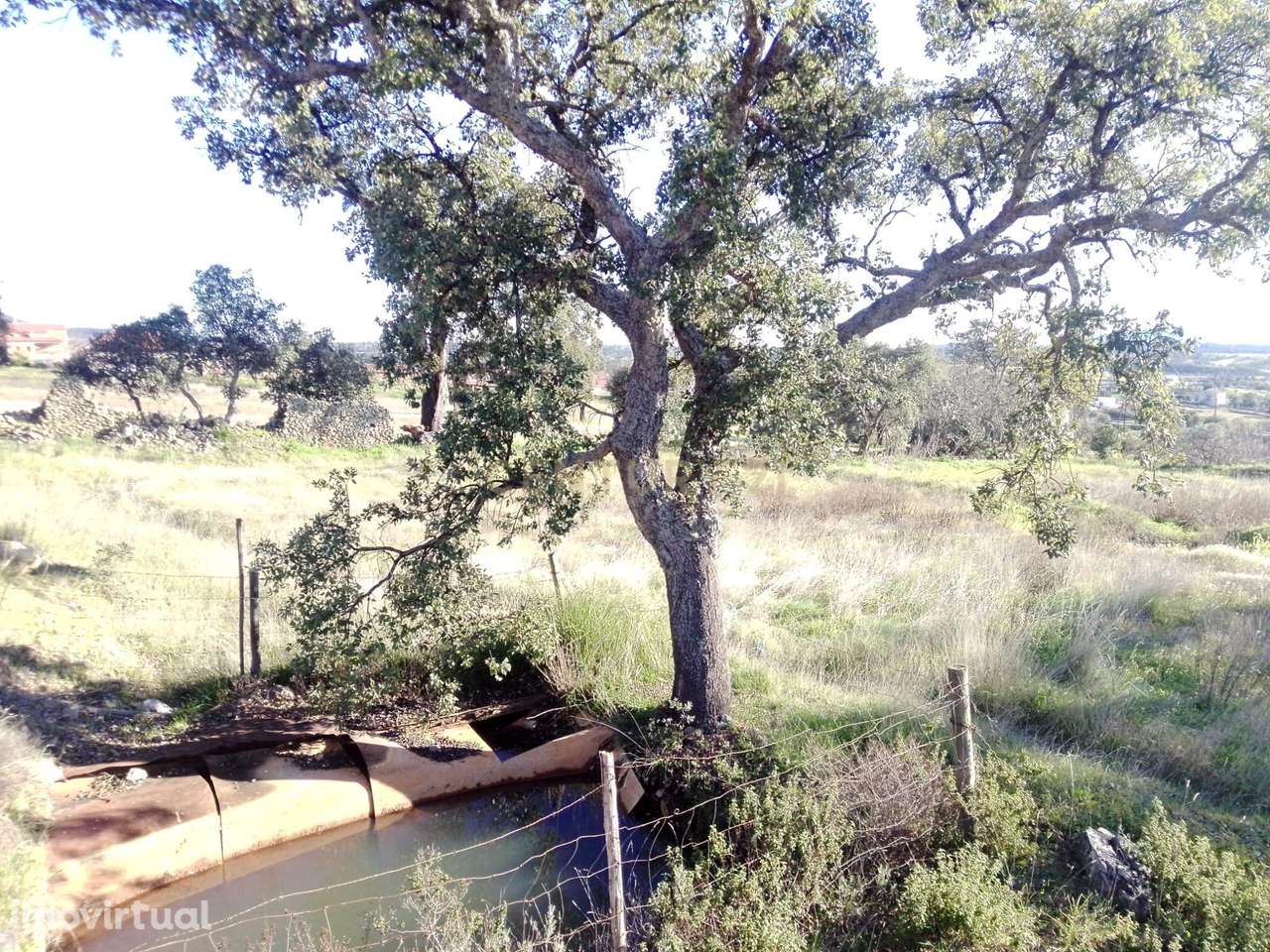 Terreno Rústico em Penha Garcia, Idanha-a-Nova| Castelo Branco - Grande imagem: 3/4