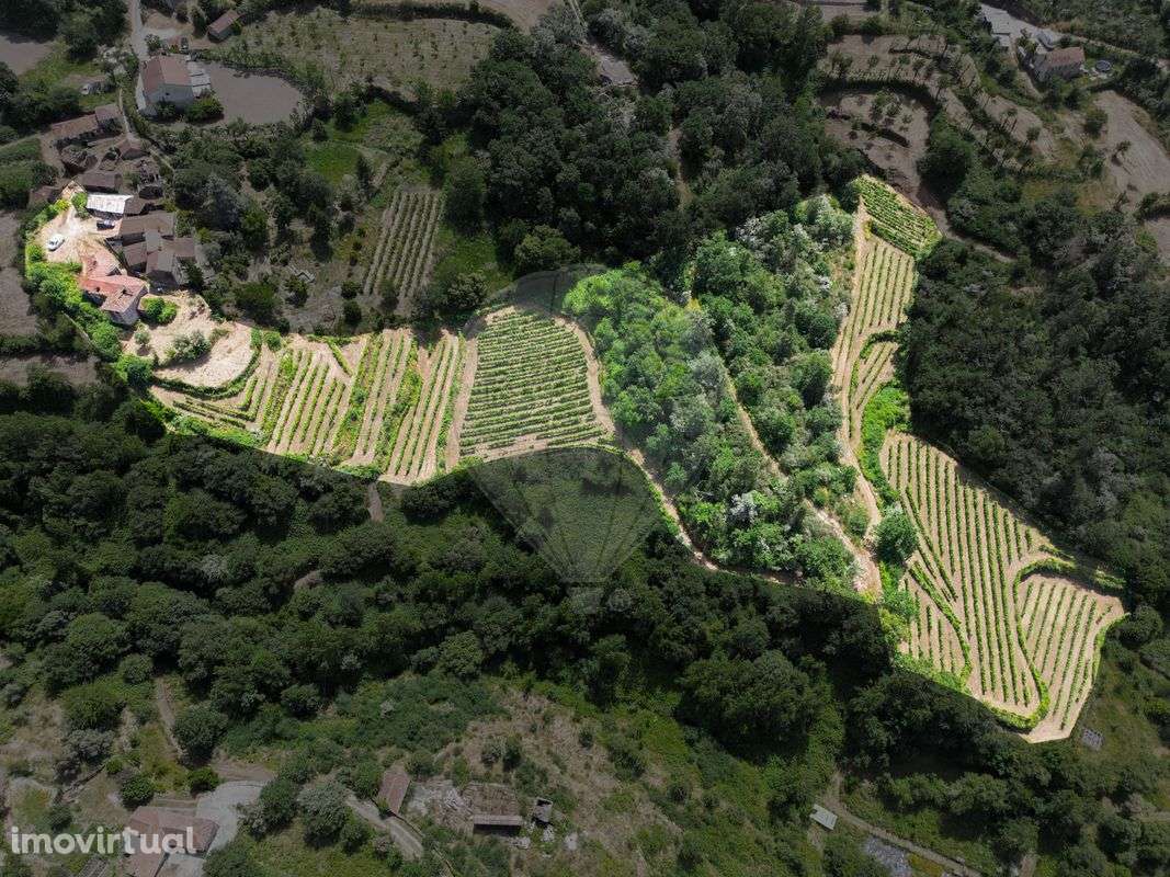 Quinta  para venda - Grande imagem: 2/23