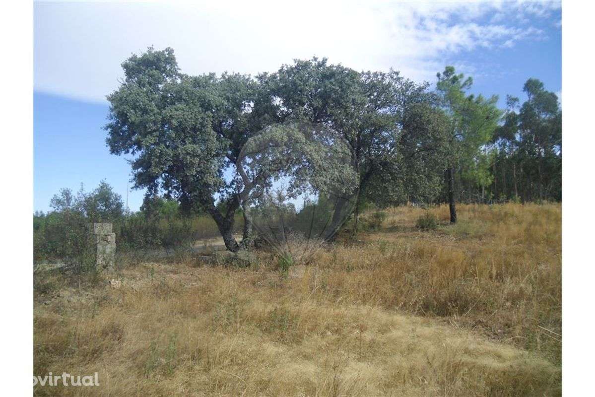 Quinta T0 para venda - Grande imagem: 2/9