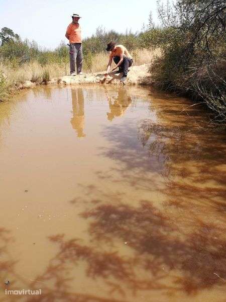 Oportunidade no Alto Alentejo - 26ha em Montalvão, perto da nova ponte - Grande imagem: 5/11
