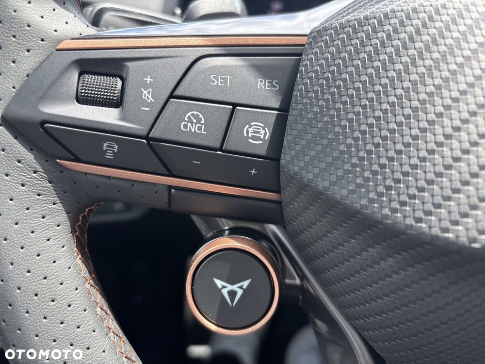 Cupra Terramar 2.0 TSI 4Drive DSG - 24