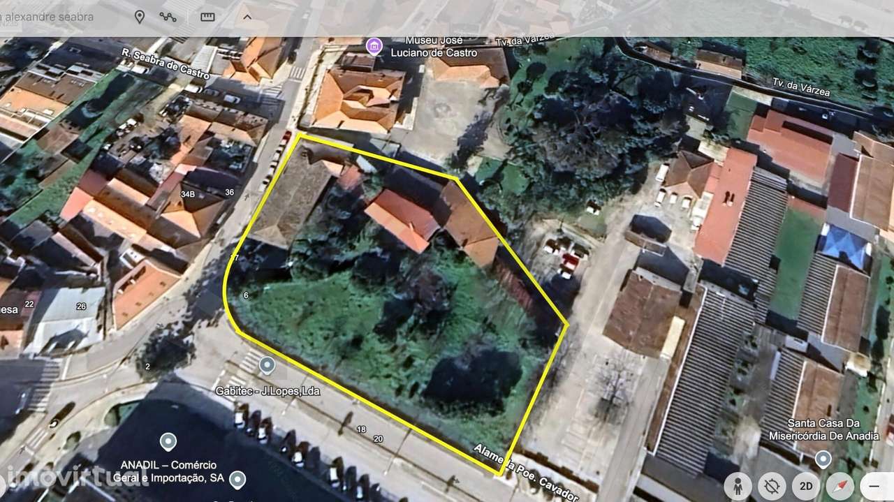 Moradia Palacete em Anadia - Grande imagem: 4/29