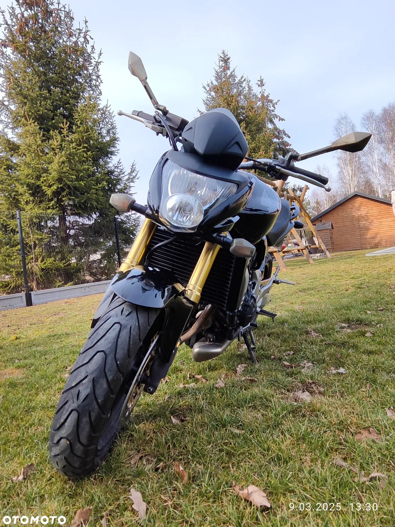 Honda Hornet - 1