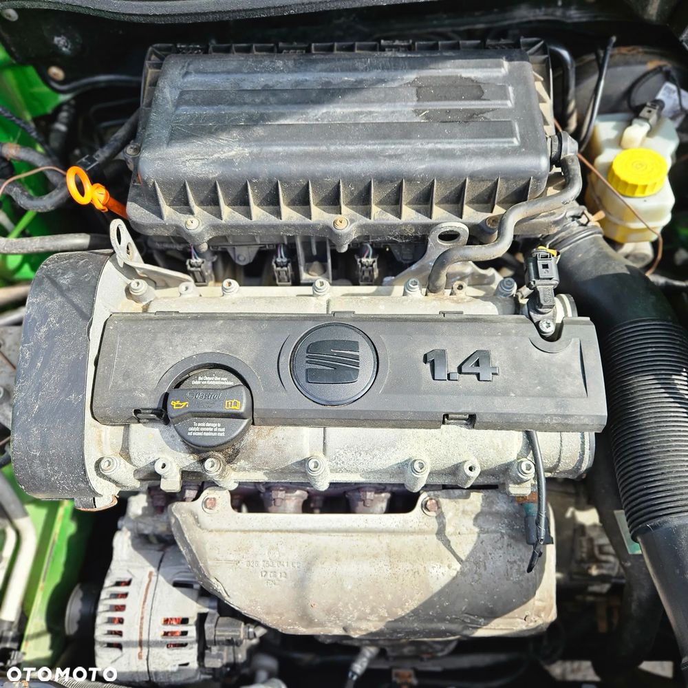 Seat Ibiza - 29