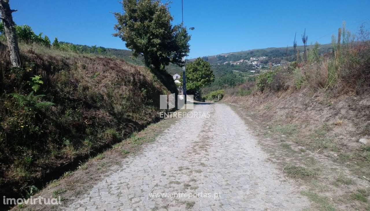 Venda Terreno, Gove, Baião - Grande imagem: 2/30