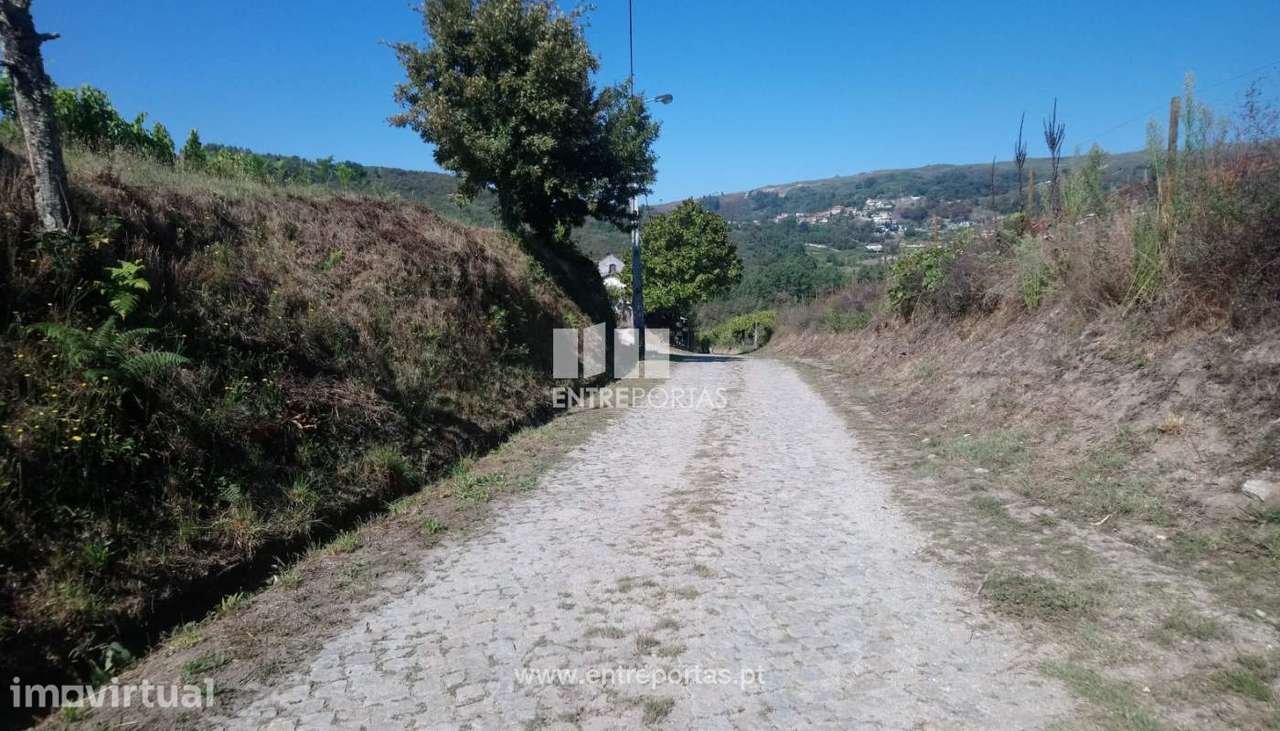 Venda Terreno, Gove, Baião - Grande imagem: 2/30