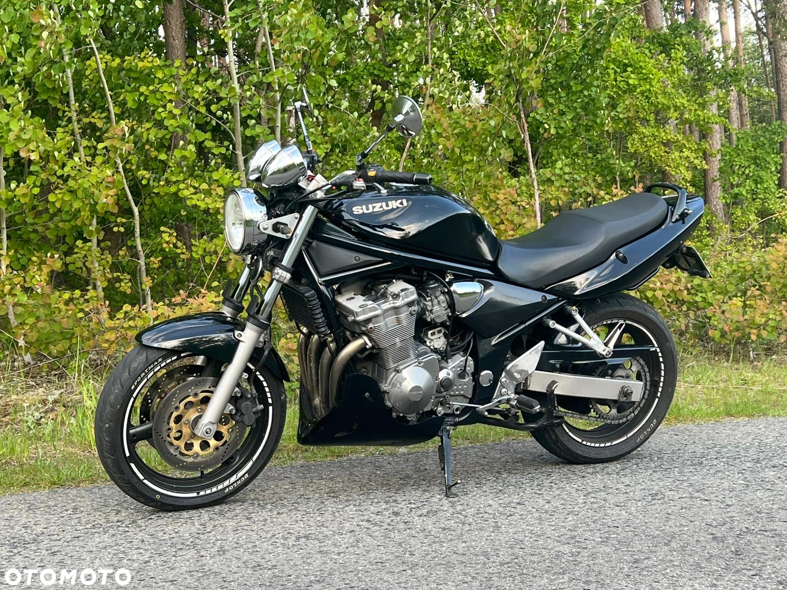 Suzuki Bandit - 14