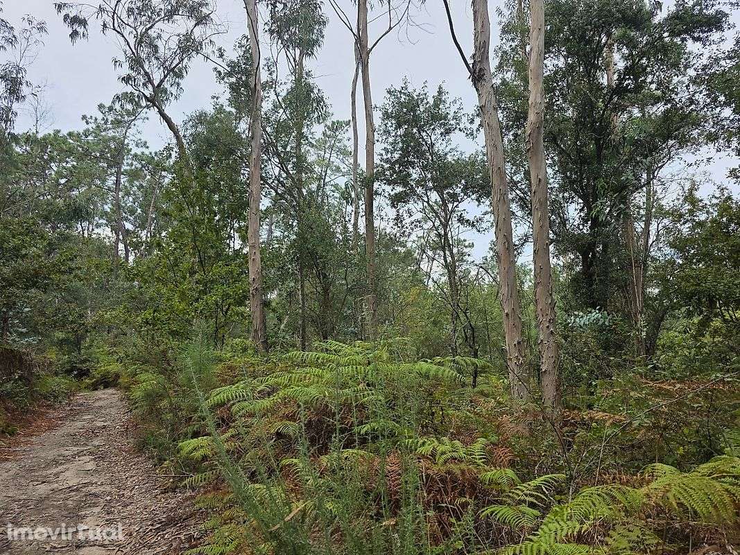 Terreno  para venda - Grande imagem: 3/4