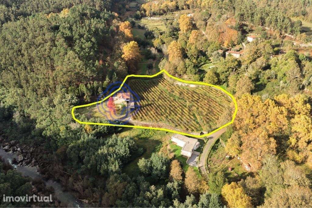 Quinta do Adigueiro – Charme, natureza e produção de vinho junto ao ri - Grande imagem: 5/60